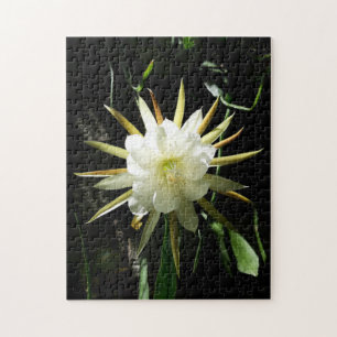 Puzzle Cactus Bloom