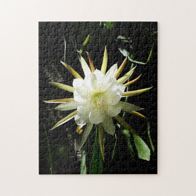 Puzzle Cactus Bloom (Vertical)