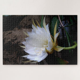 Puzzle Cactus Bloom