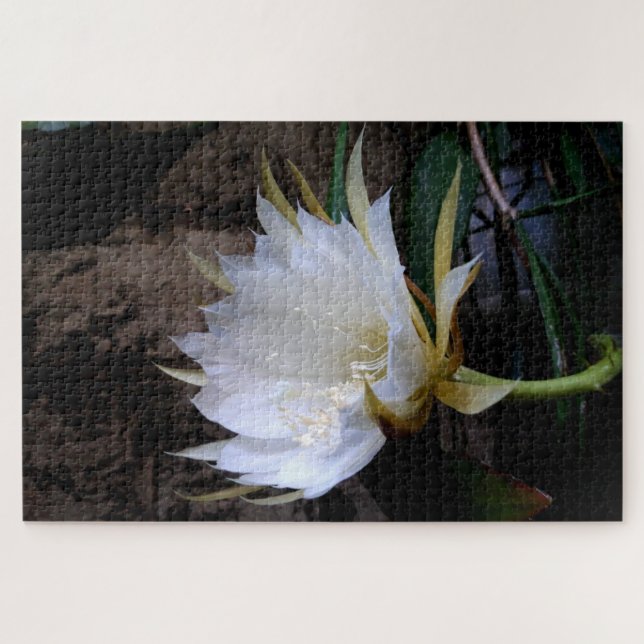 Puzzle Cactus Bloom (Horizontal)