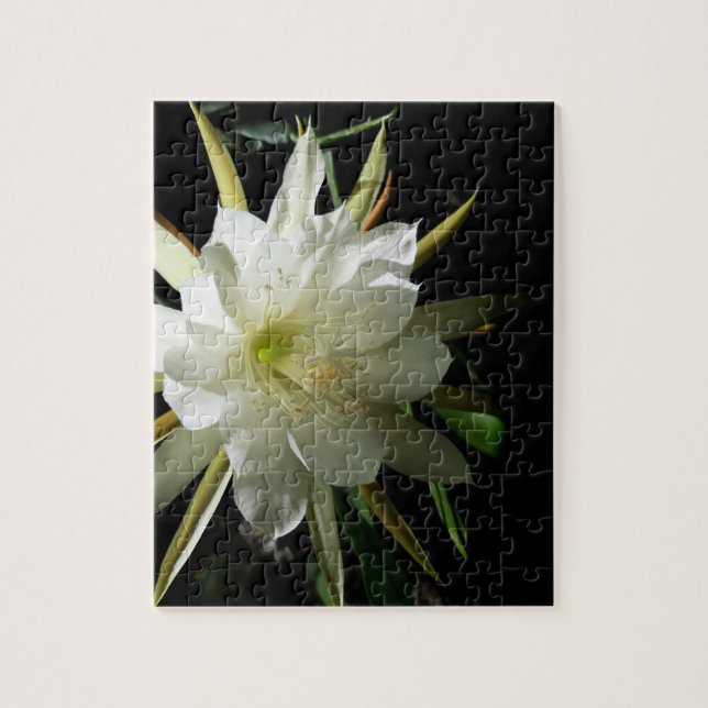 Puzzle Cactus Bloom (Vertical)