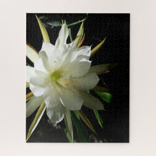 Puzzle Cactus Bloom