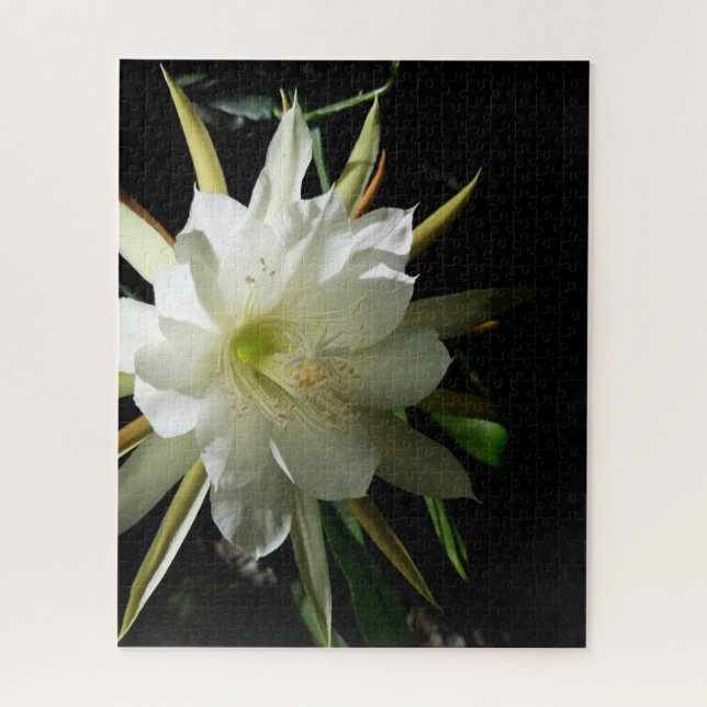 Puzzle Cactus Bloom (Vertical)