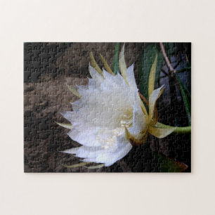 Puzzle Cactus Bloom