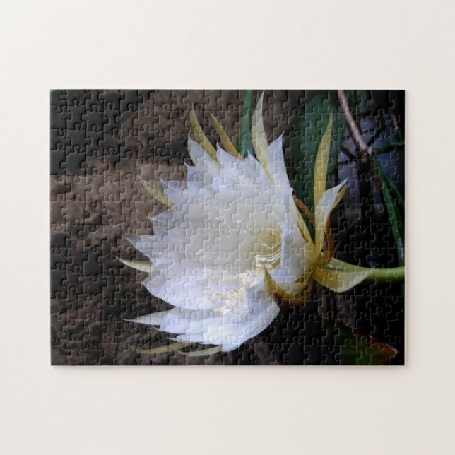 Puzzle Cactus Bloom (Horizontal)