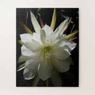 Puzzle Cactus Bloom