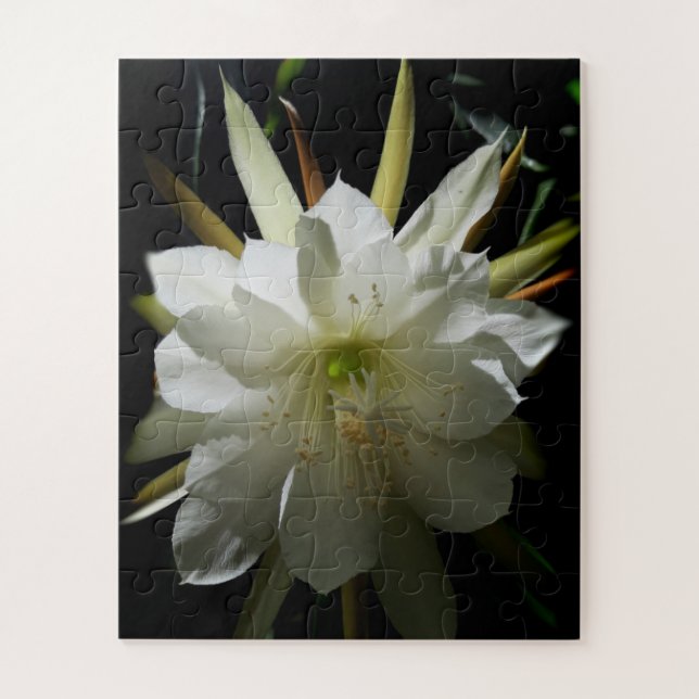 Puzzle Cactus Bloom (Vertical)
