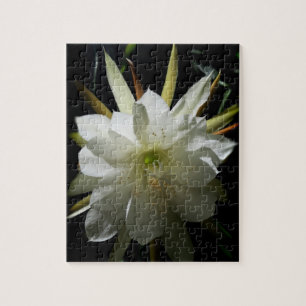 Puzzle Cactus Bloom
