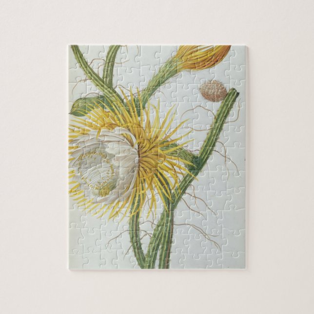Puzzle Cactus: Cirio, Plantae Selectae" 175 de Trew de " (Vertical)