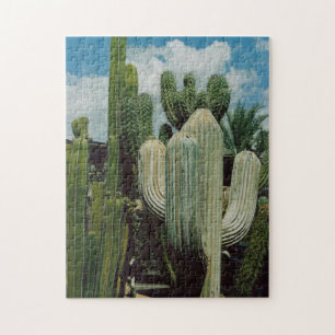 Puzzle Cactus de Arizona