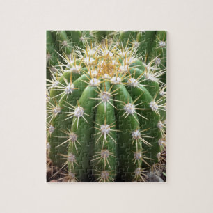 Puzzle Cactus de Arizona