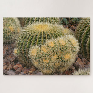 Puzzle Cactus de barril dorado