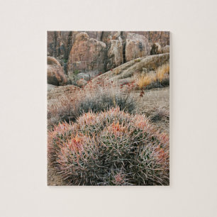 Puzzle Cactus de Barril en California