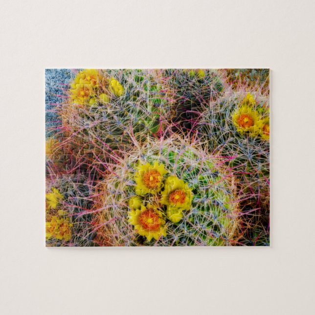 Puzzle Cactus de barril en primer plano, California (Horizontal)