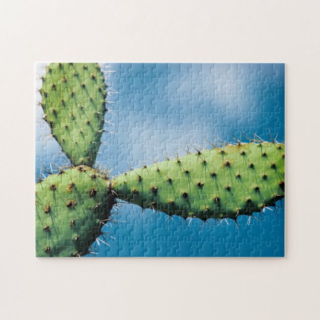 Puzzle Cactus de Prickley (Horizontal)