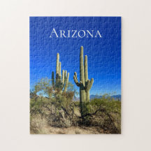 Cactus del desierto del suroeste de Arizona