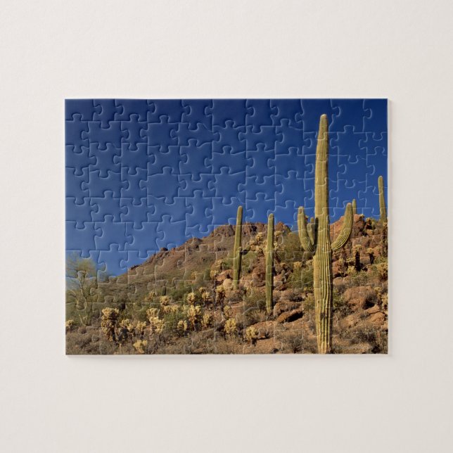 Puzzle Cactus del Saguaro y montañas de Tucson, Tucson (Horizontal)