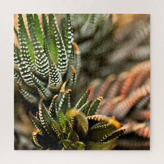 Puzzle Cactus Demasiado  (Vertical)