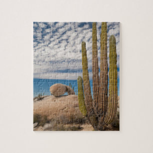 Puzzle Cactus En Escenario Desértico