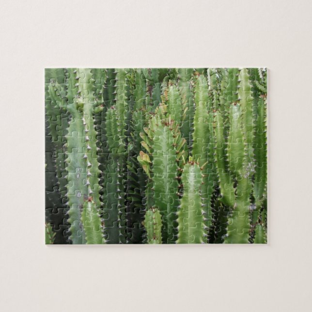 Puzzle Cactus Garden (Horizontal)