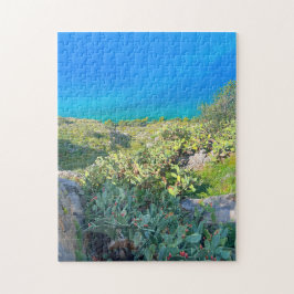 Puzzle Cactus Nafplion Grecia a orillas del mar