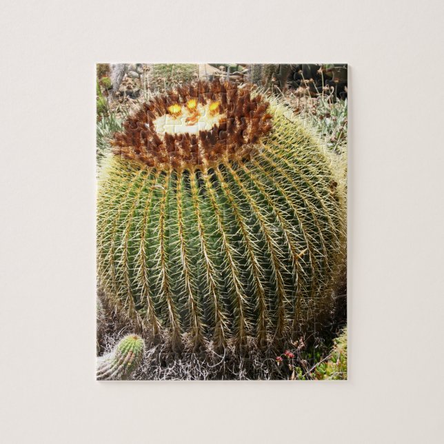 Puzzle Cactus Prrapis de grandes dimensiones (Vertical)