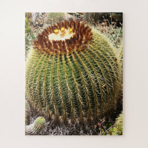 Puzzle Cactus Prrapis de grandes dimensiones