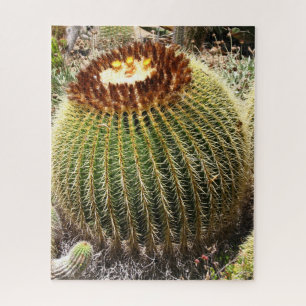 Puzzle Cactus Prrapis de grandes dimensiones