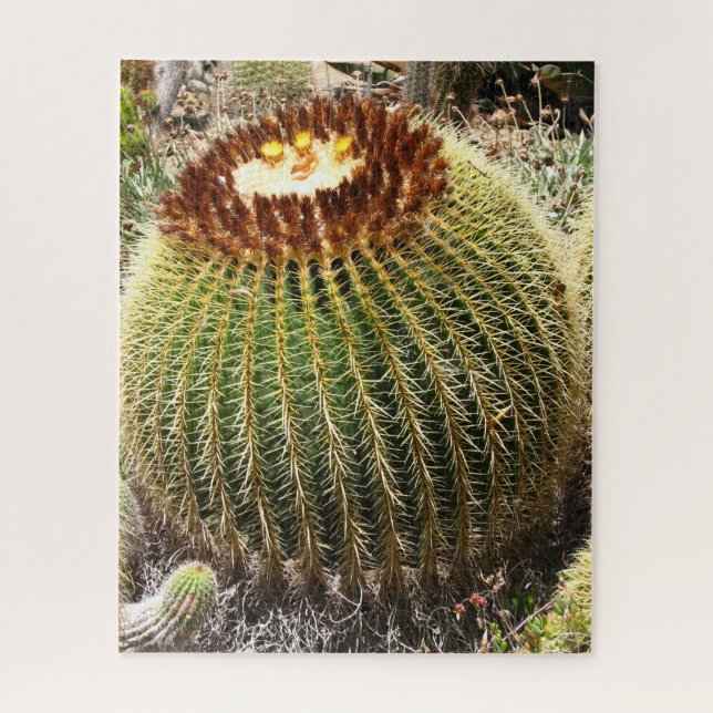 Puzzle Cactus Prrapis de grandes dimensiones (Vertical)