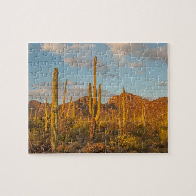 Puzzle Cactus saguaro al atardecer, Arizona (Horizontal)