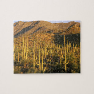 Puzzle Cactus saguaro en el Parque Nacional Saguaro cerca