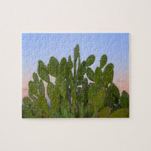 Puzzle Cactus y sisal en Bosque Seco