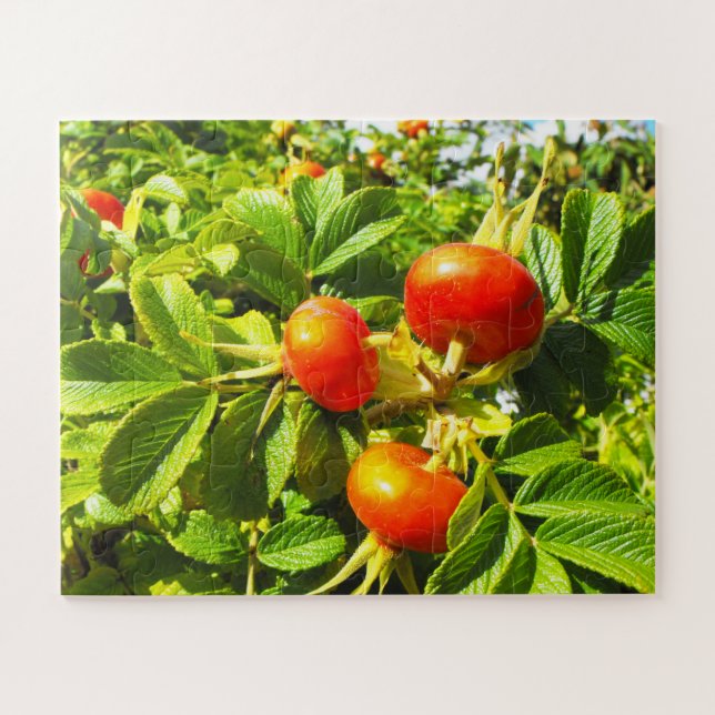 Puzzle caderas de Rosa (Horizontal)