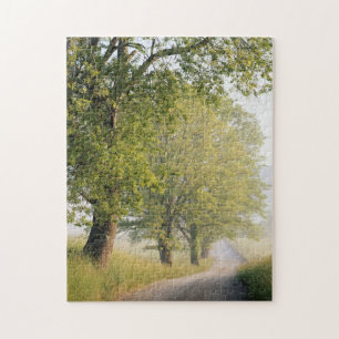 Puzzle Cades Cove Grandes Montañas Humeantes, TN