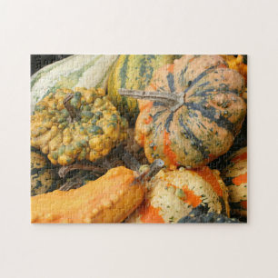Puzzle Cae el colorido Fancy Gours