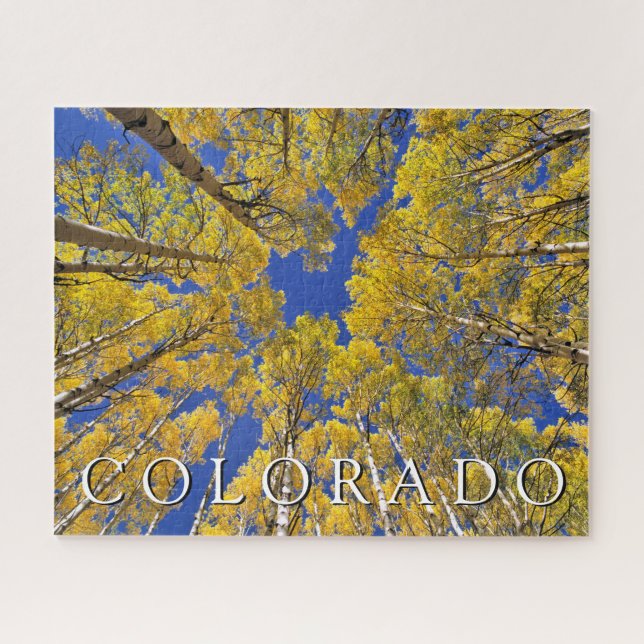 Puzzle Caída de Colorado | Bosque de álamos en otoño (Horizontal)