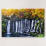 Puzzle Caída del parque nacional de viajes de Japón<br><div class="desc">Este impresionante rompecabezas presenta la cascada de Shiraito en el Parque Nacional Fuji-Hakone-Izu en Japón con árboles de otoño. dice juegos.</div>
