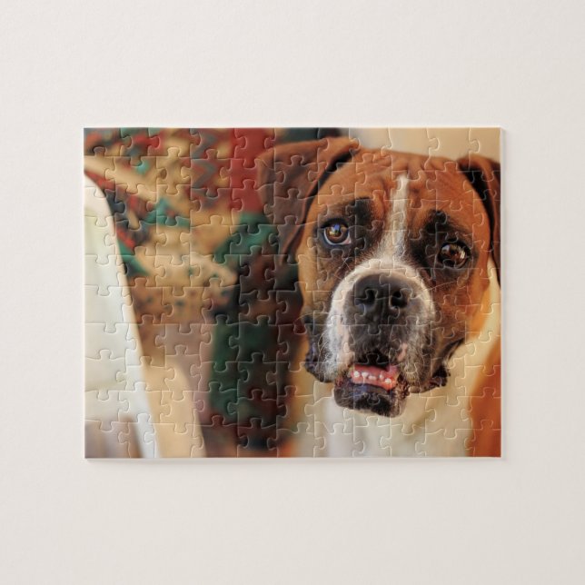 Puzzle Caja de Boxer Adorable (Horizontal)