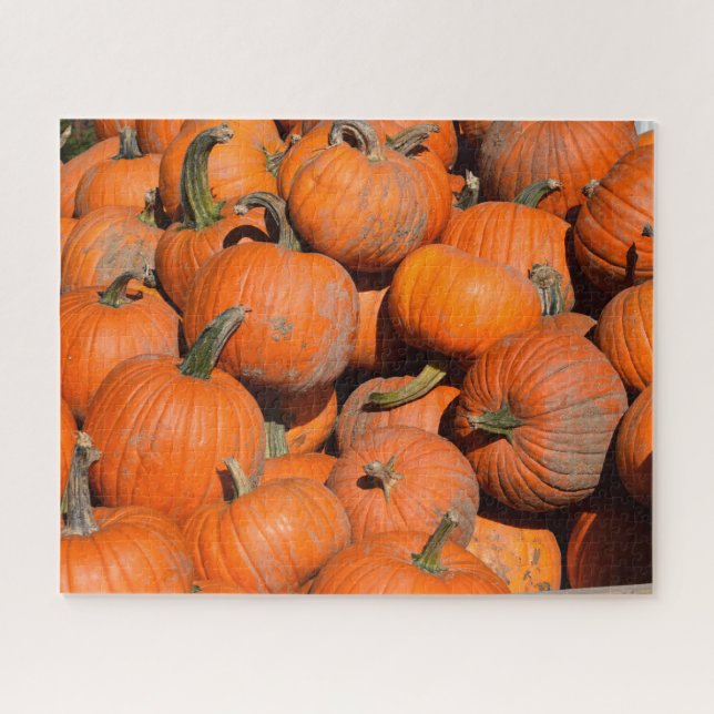 Puzzle Calabazas, calabazas, calabazas - 16x20 - 520 pcs. (Horizontal)