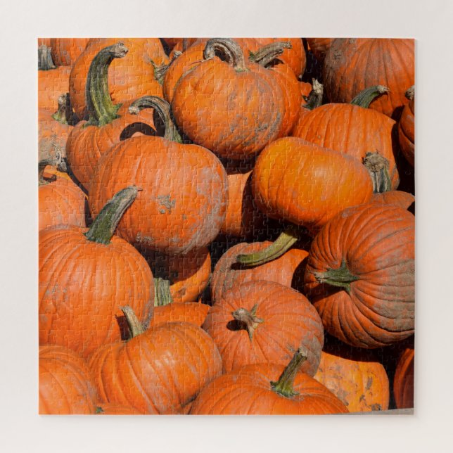 Puzzle Calabazas, calabazas, calabazas - 20x20 - 676 pcs. (Vertical)