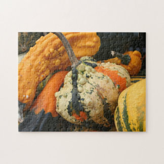 Puzzle Calabazas Decorativas Coloridas de Cerca Otoño