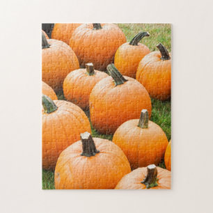 Puzzle Calabazas para la venta en el mercado de un