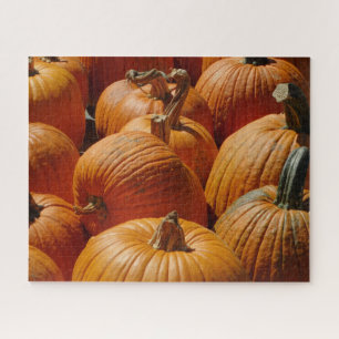 Puzzle Calabazas, pieles y días agradables