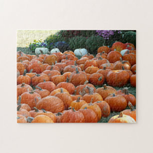 Puzzle Calabazas y Mamáes Fotografía de la cosecha de oto