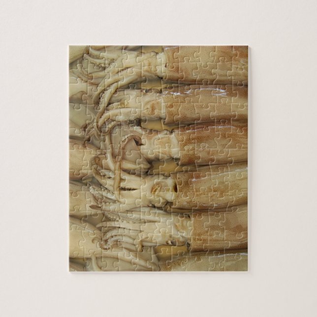 Puzzle Calamari (Vertical)
