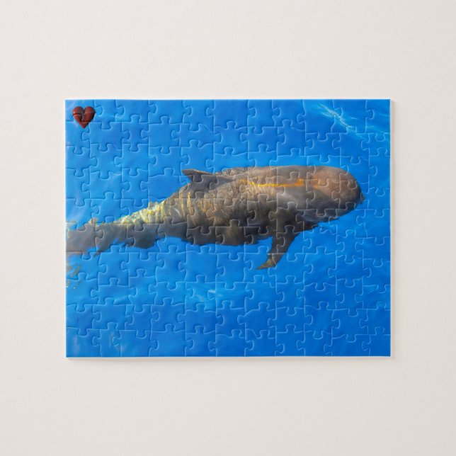 Puzzle Calderones comunes (Horizontal)