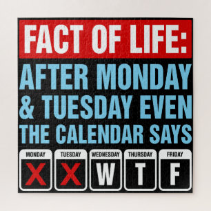 Puzzle Calendario de Hechos de la Vida Dice Humor WTF