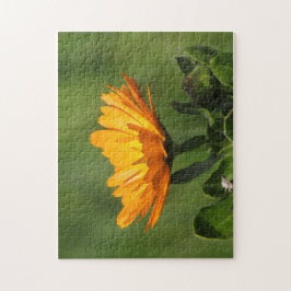 Puzzle - Calendula Blossom
