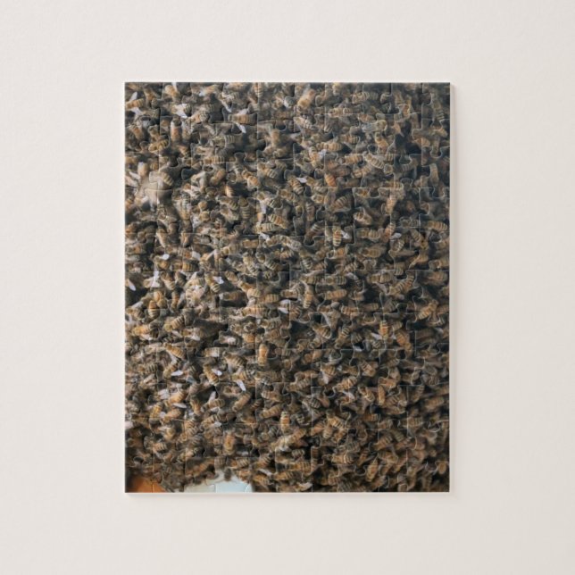 Puzzle Calentamiento (Vertical)