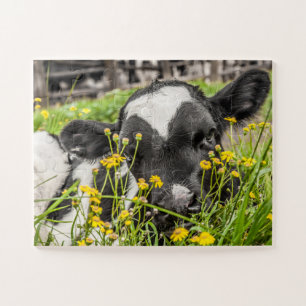 Puzzle Calf en hierba y flores
